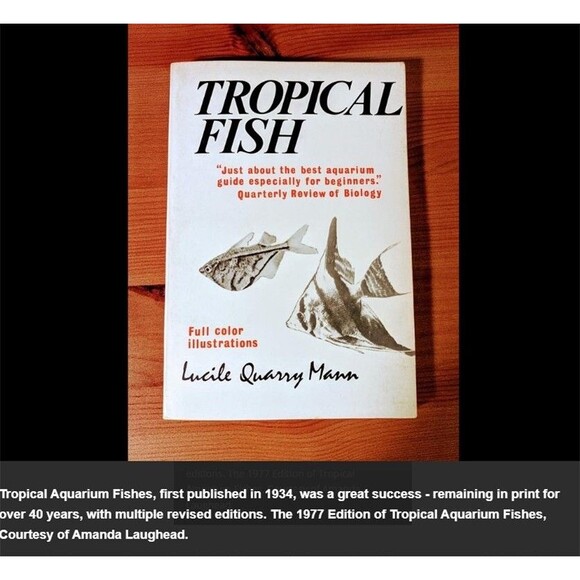 Tropical Fish Book, Lucile Quarry Mann. 1977 Paperback Full Color Illustrations - Picture 7 of 7